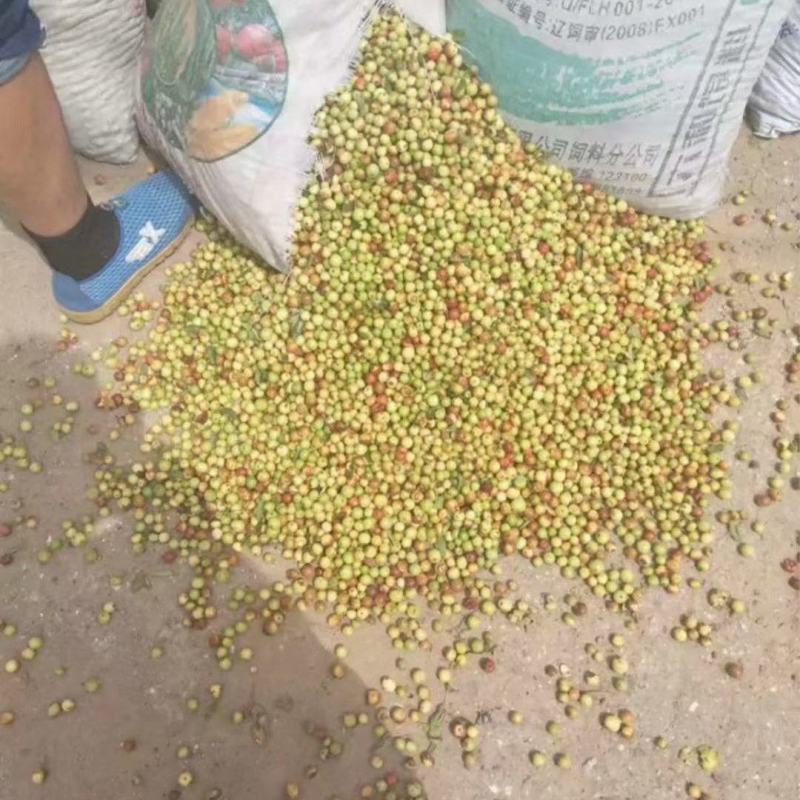 酸枣