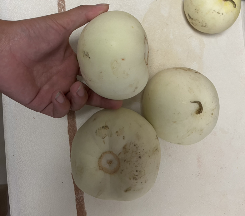 草莓晶果实特写