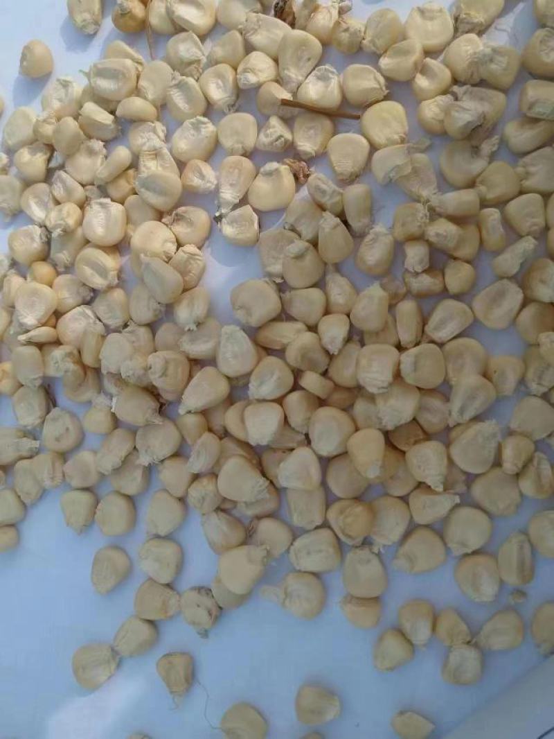糯玉米干粒