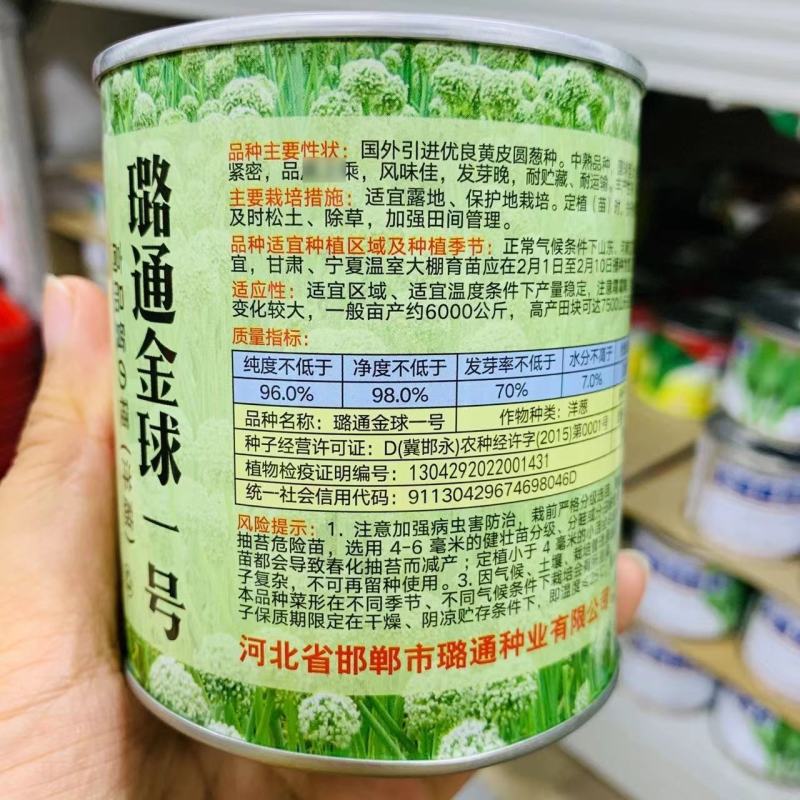 璐通金球一号洋葱种子脆甜圆葱种高品质国外优良黄皮洋葱种籽