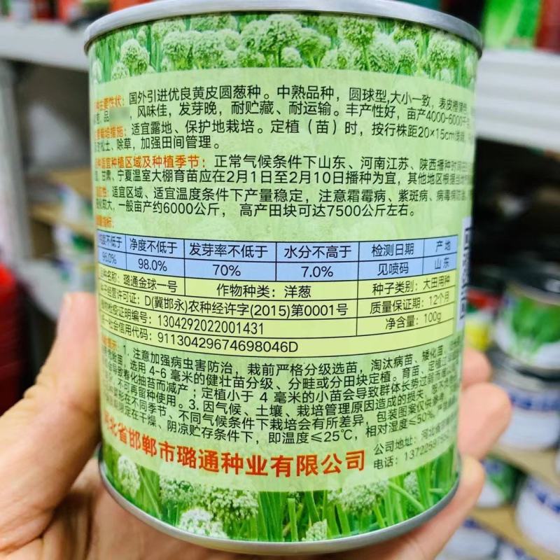 璐通金球一号洋葱种子脆甜圆葱种高品质国外优良黄皮洋葱种籽