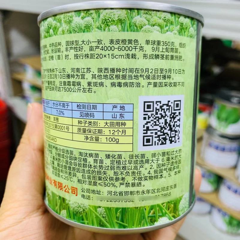 璐通金球一号洋葱种子脆甜圆葱种高品质国外优良黄皮洋葱种籽