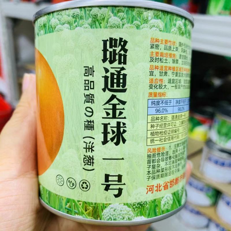 璐通金球一号洋葱种子脆甜圆葱种高品质国外优良黄皮洋葱种籽