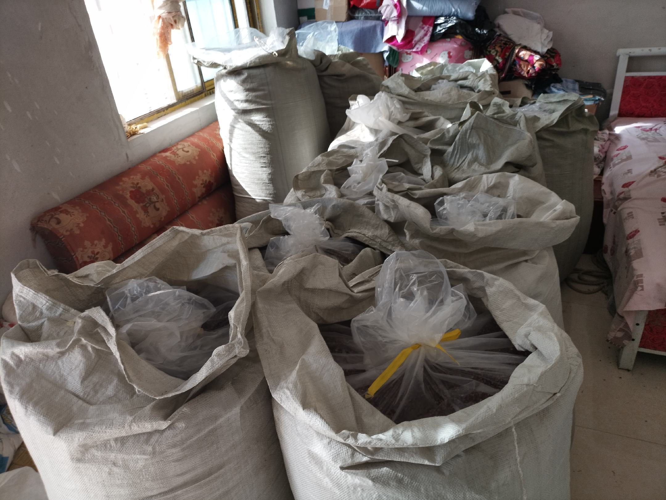 黑胡椒碎出口装箱现场