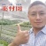 黄精种苗高杆大叶不倒苗川黄精一年苗