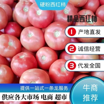 湖北硬粉西红柿硬度亮度好一手货源大棚货