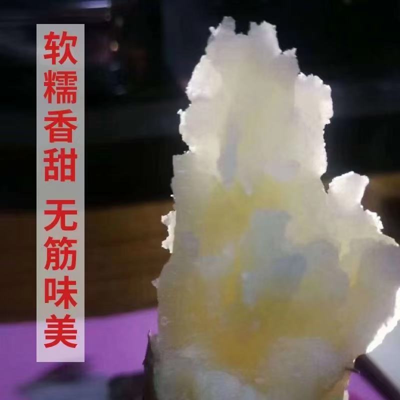 山东哈蜜冰糖薯，哈蜜白心地瓜蜜薯，红薯