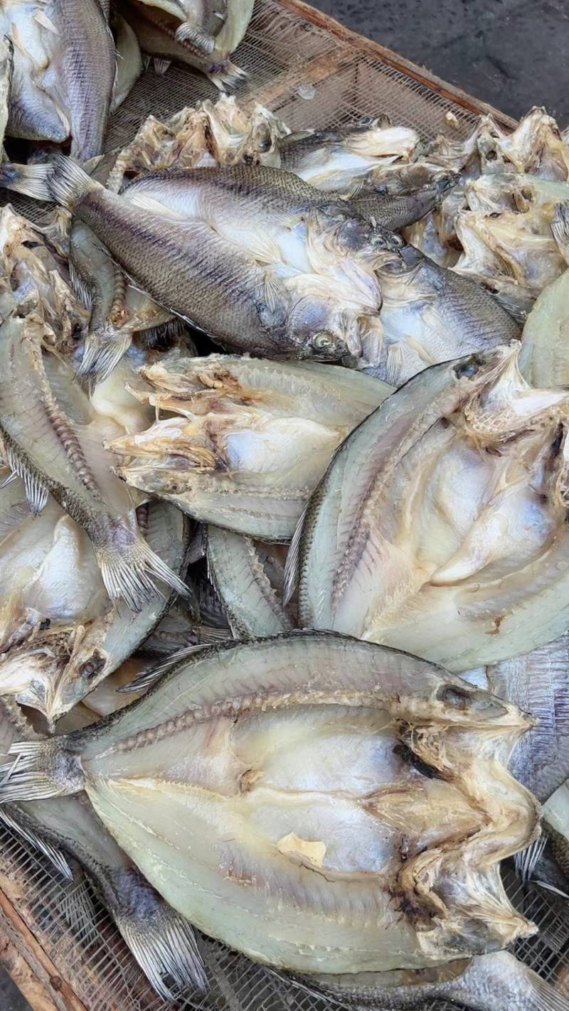 鲈鱼片开背鲈鱼干加州鲈鱼片海鲈鱼片