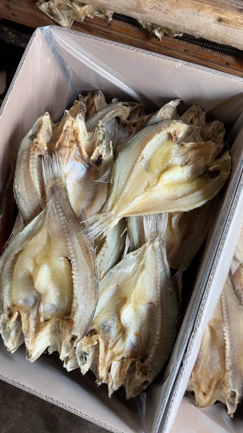 鲈鱼片开背鲈鱼干加州鲈鱼片海鲈鱼片