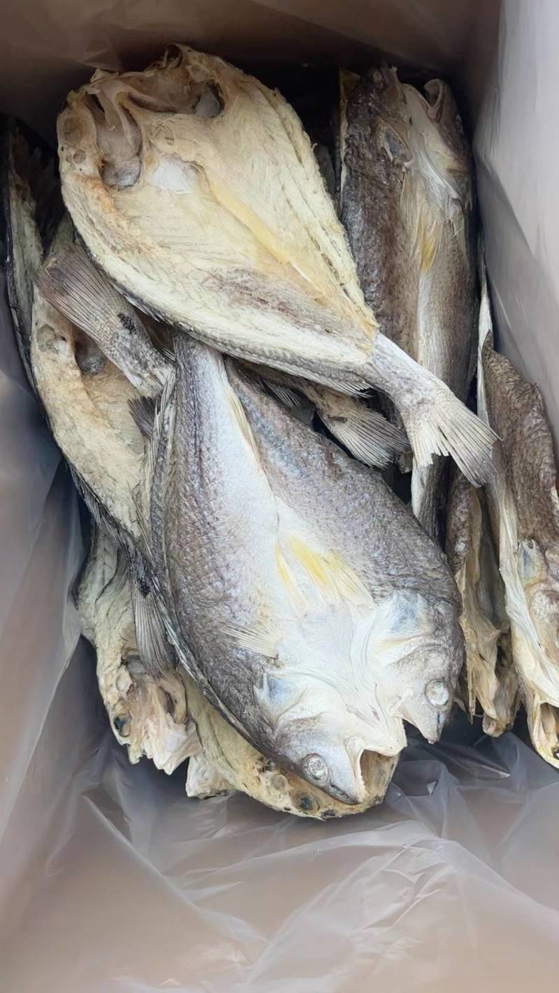 鲈鱼片开背鲈鱼干加州鲈鱼片海鲈鱼片
