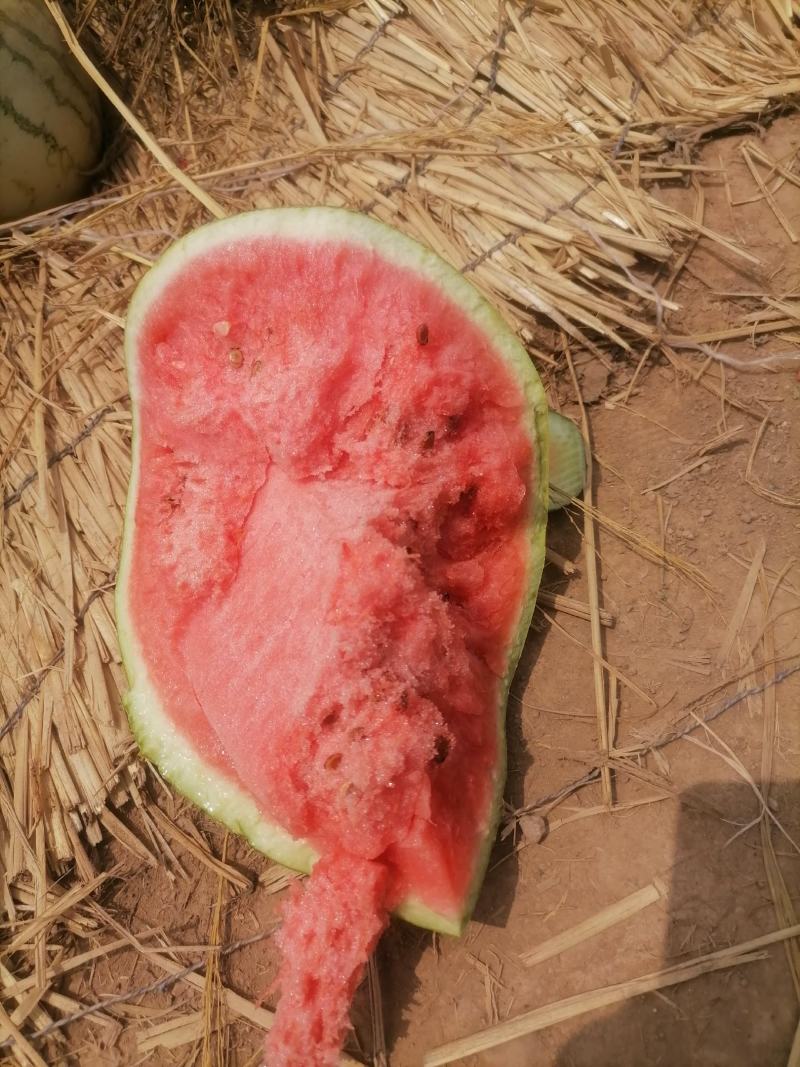山西西瓜精品美都麒麟瓜无籽产地直供货源充足欢迎联系