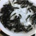 南方大口鲶鱼苗淡冷水养殖胡二须子鲶大型冷水鱼埃及鲶鱼土鲶