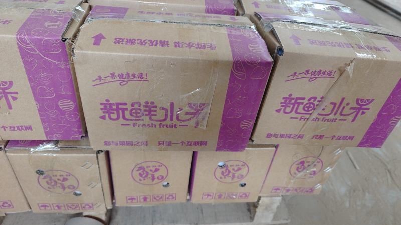 陕西沙地板栗红薯口感粉糯香甜产地直发一件代发
