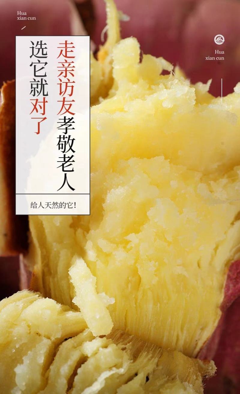 陕西沙地板栗红薯口感粉糯香甜产地直发一件代发