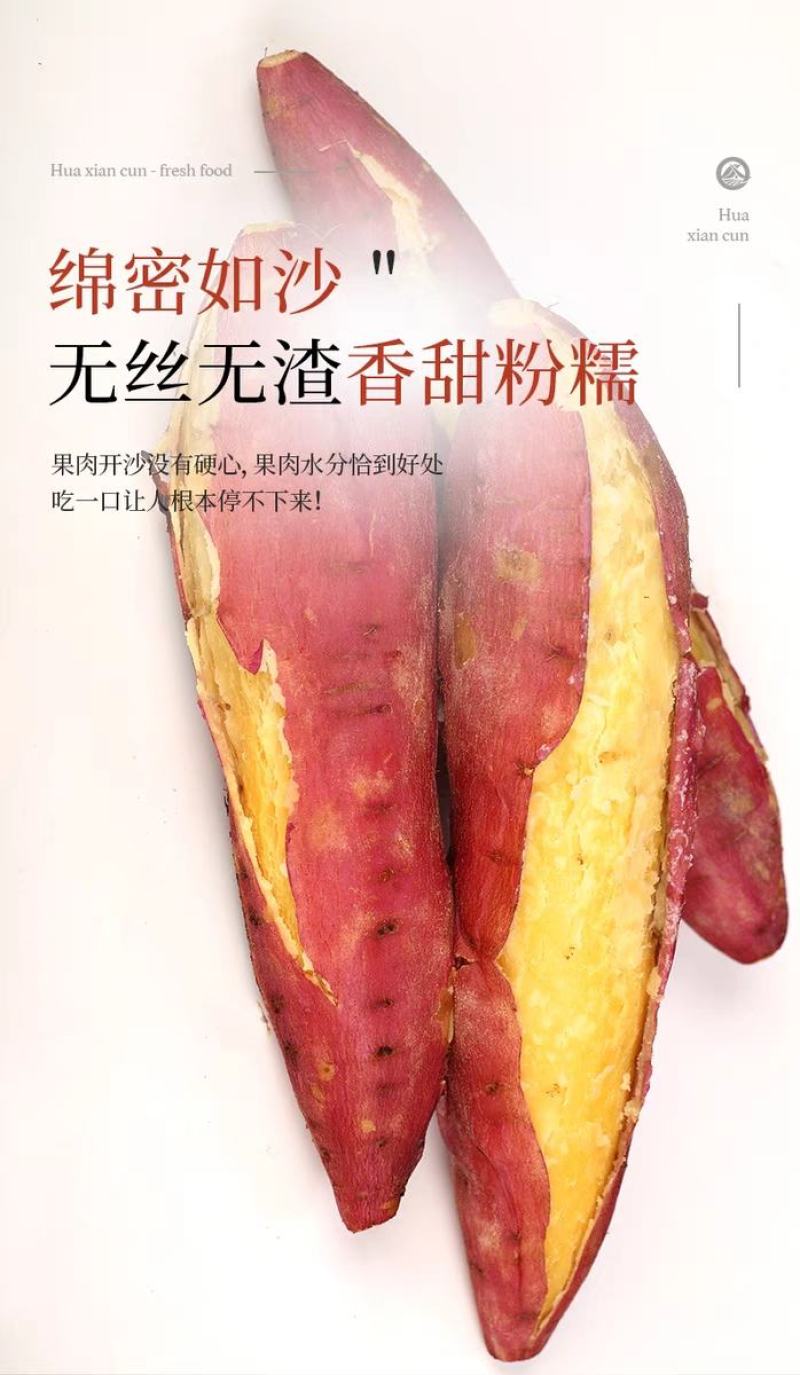 陕西沙地板栗红薯口感粉糯香甜产地直发一件代发