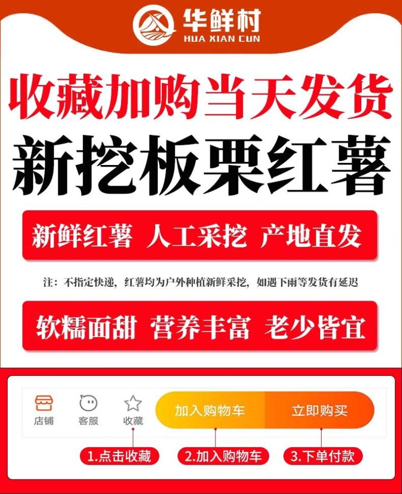 陕西沙地板栗薯产地直发一件代发对接各种商超社团