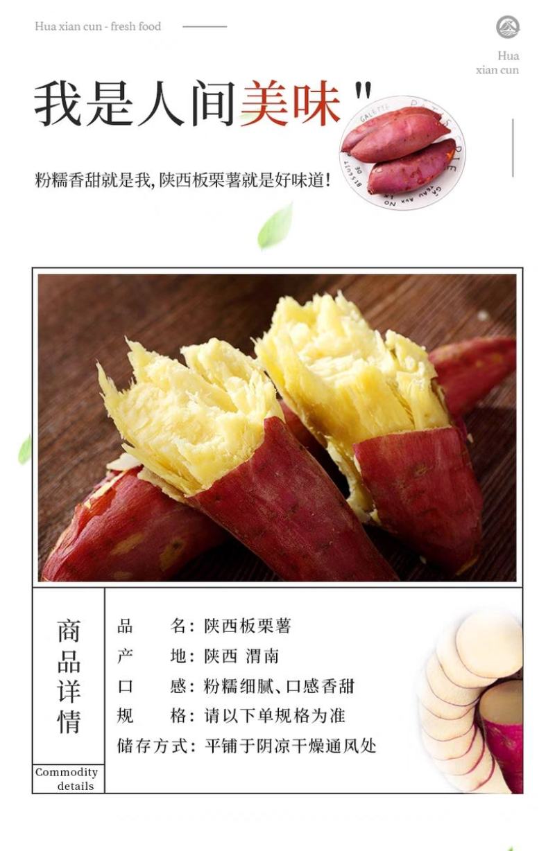 陕西沙地板栗薯产地直发一件代发对接各种商超社团