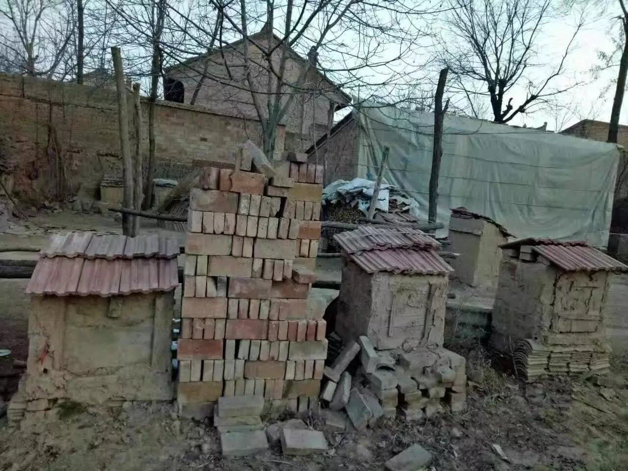 蜂蜜与蜂巢实物图