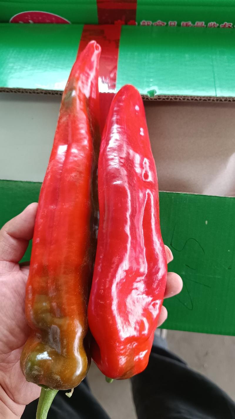 长红椒，红尖椒