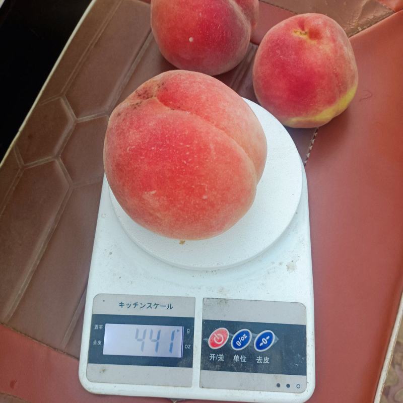 大绿化九，脆甜。要好货的你就来