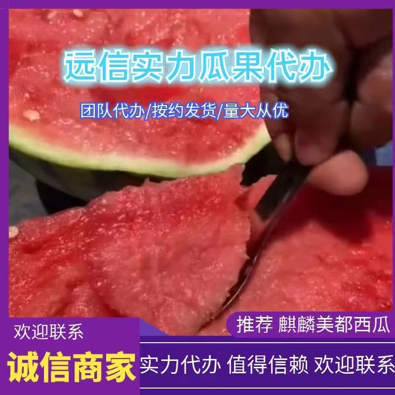 云南麒麟西瓜，物美价廉，糖度13+质量保证，重的是诚信