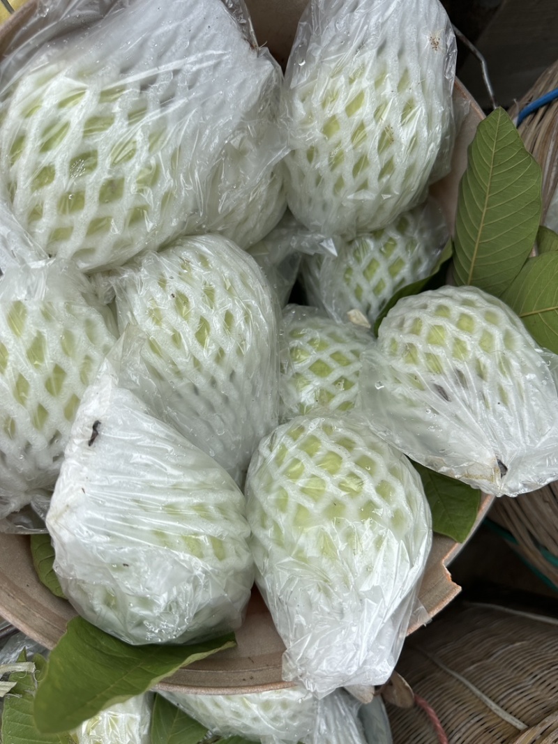 番石榴