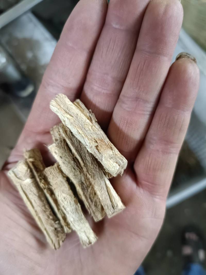 葛根精品价格美丽货源充足