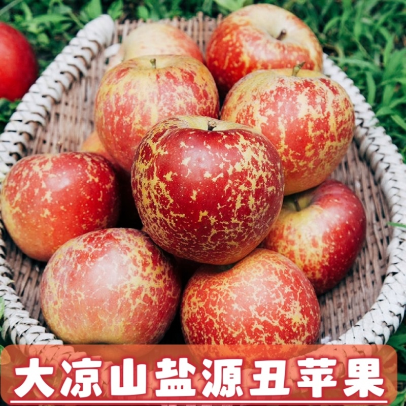 四川苹果代办，盐源丑苹果供应全国社团市场等