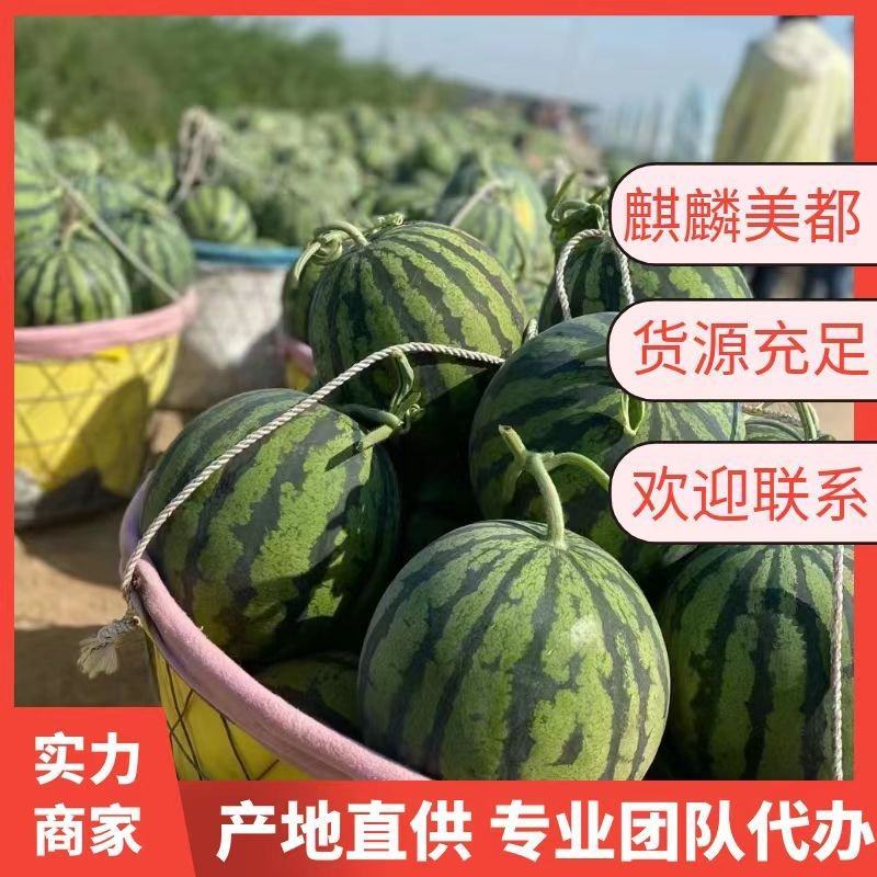 【富强民主】美都麒麟西瓜，糖度13+，品质保证，代发全国