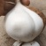 【高品质】豆薯/凉薯皮薄脆甜多汁好剥皮耐储藏耐运输规格全