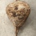 【高品质】豆薯/凉薯皮薄脆甜多汁好剥皮耐储藏耐运输规格全