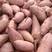 《实力》河南红薯精品龙九红薯大量上市产地直供量大