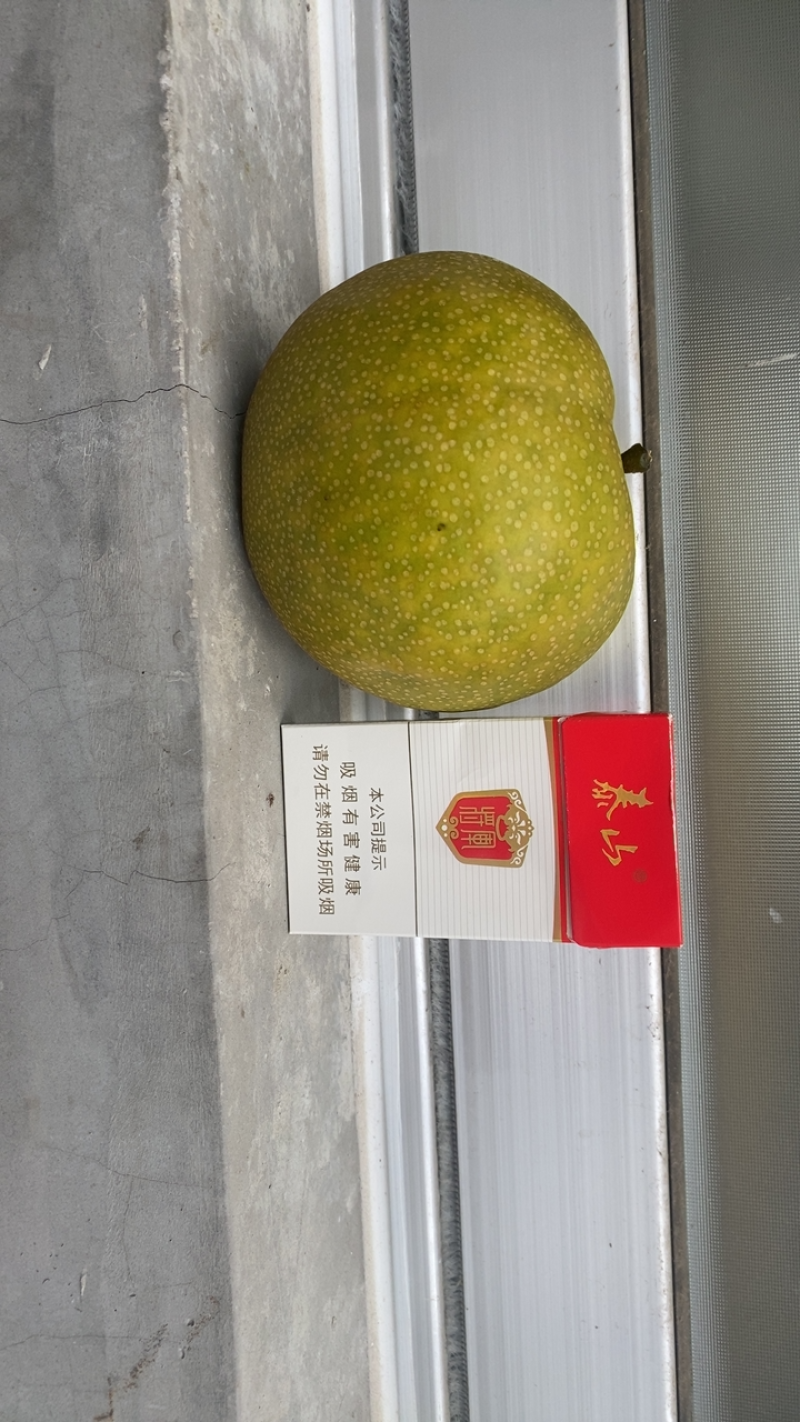 青岛华山风水🍐产地，头茬刚上市，欢迎订购