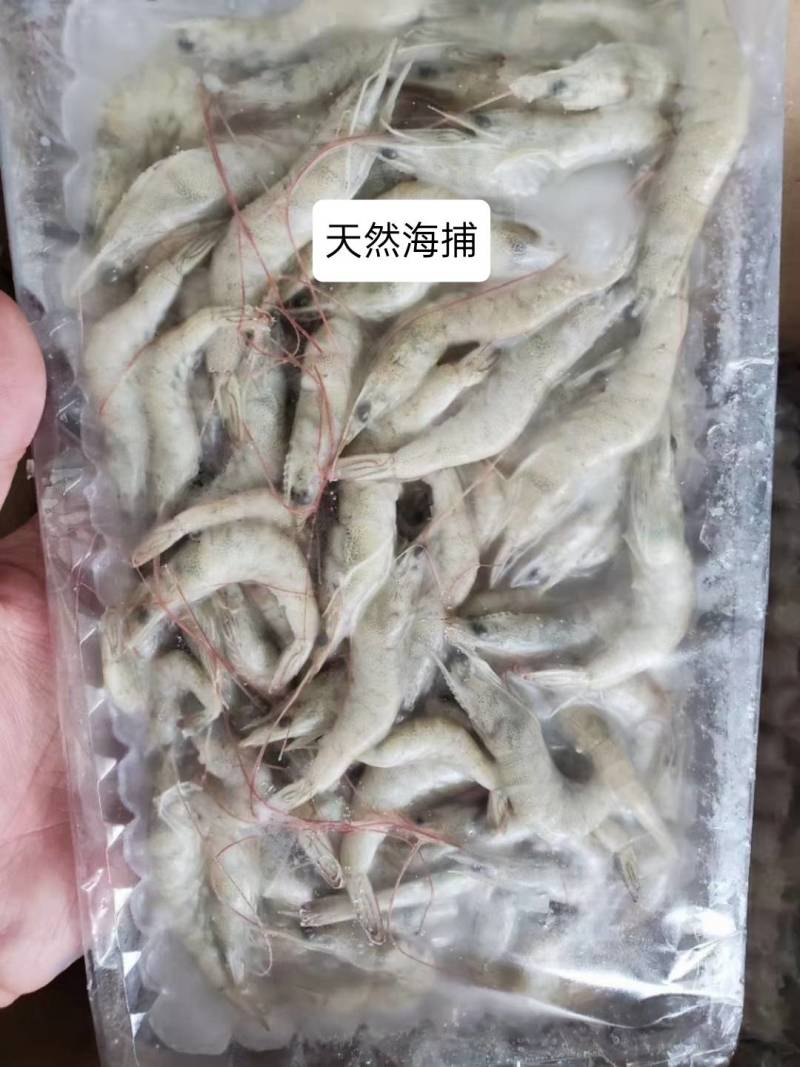 活冻小海虾、精选原条海虾、近海货长期有货有量