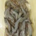 活冻小海虾、精选原条海虾、近海货长期有货有量