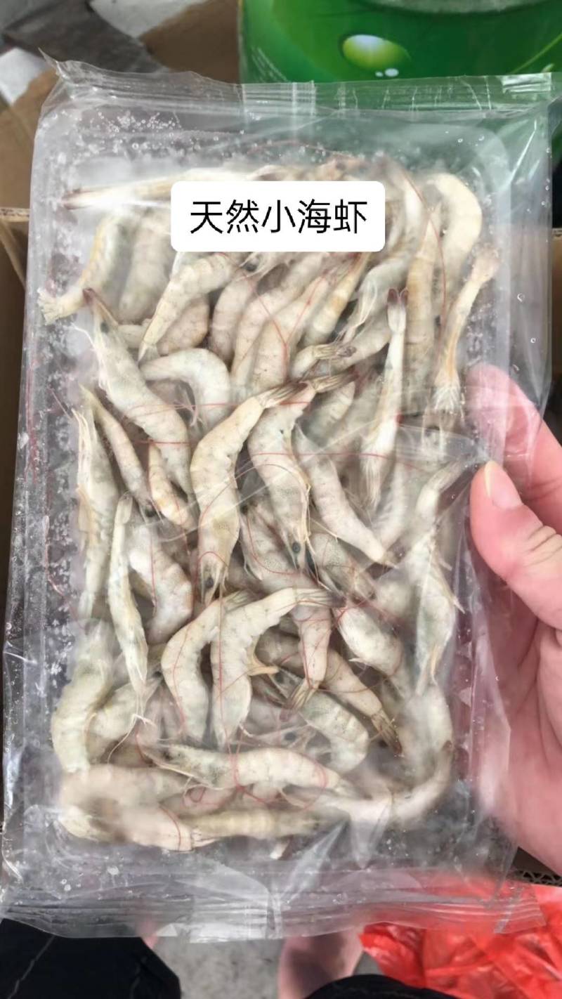 活冻小海虾、精选原条海虾、近海货长期有货有量