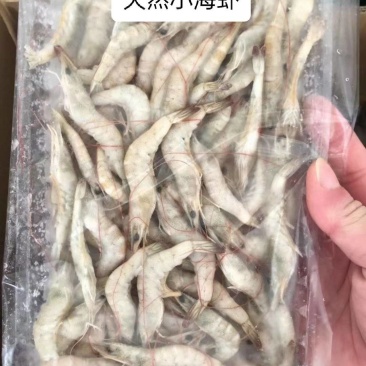 活冻小海虾、精选原条海虾、近海货长期有货有量