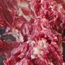 【牛背骨】肉大牛脊骨，骨头馆原材料，45斤一件样品发货