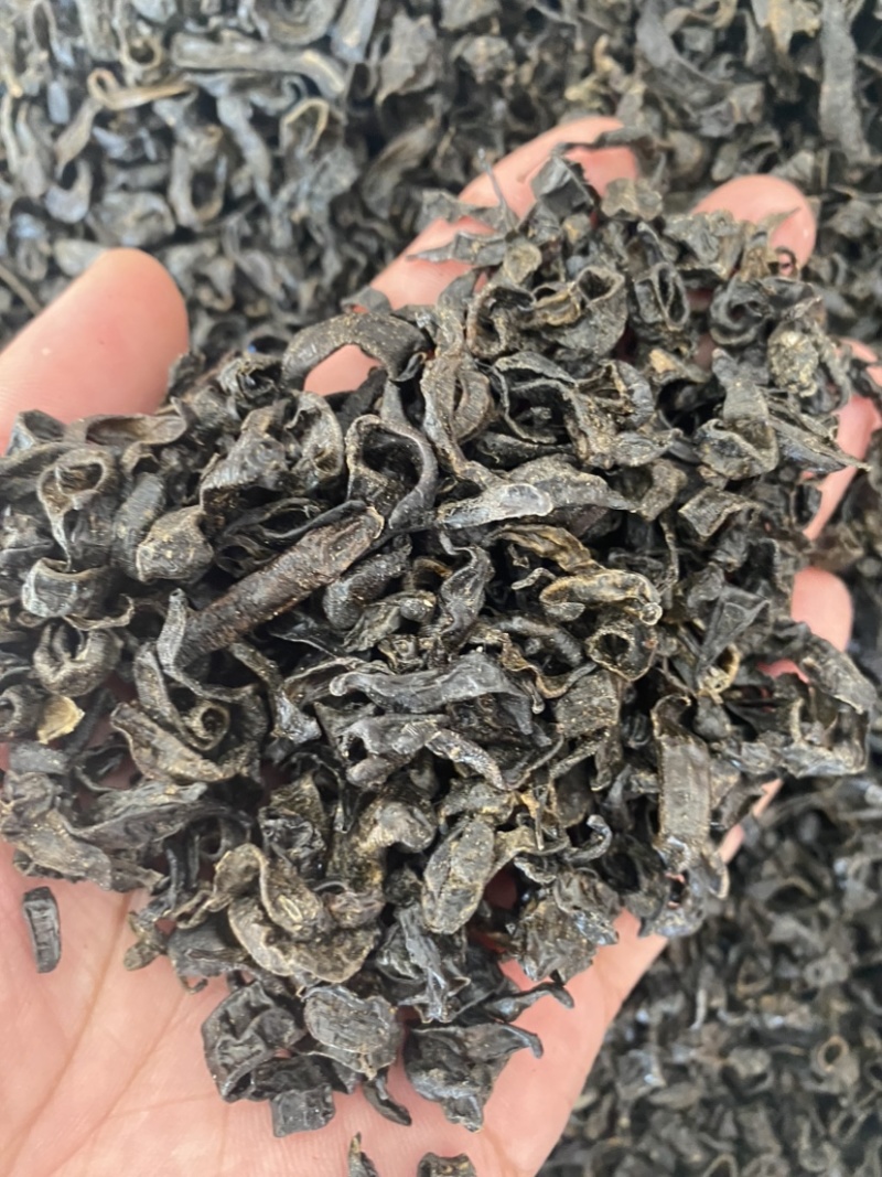 水蛭蚂蟥小水蛭中药材水蛭小水蛭干批发包邮