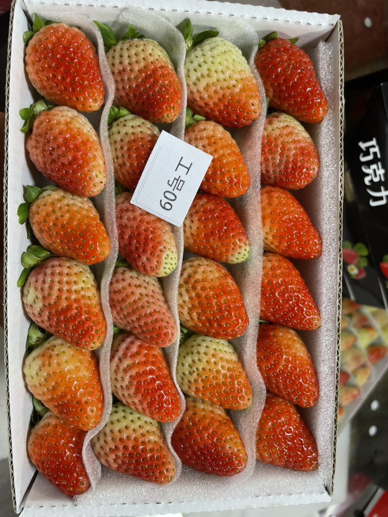 云南草莓，商用为主草莓奶茶饮料果汁果酱鲜果草莓