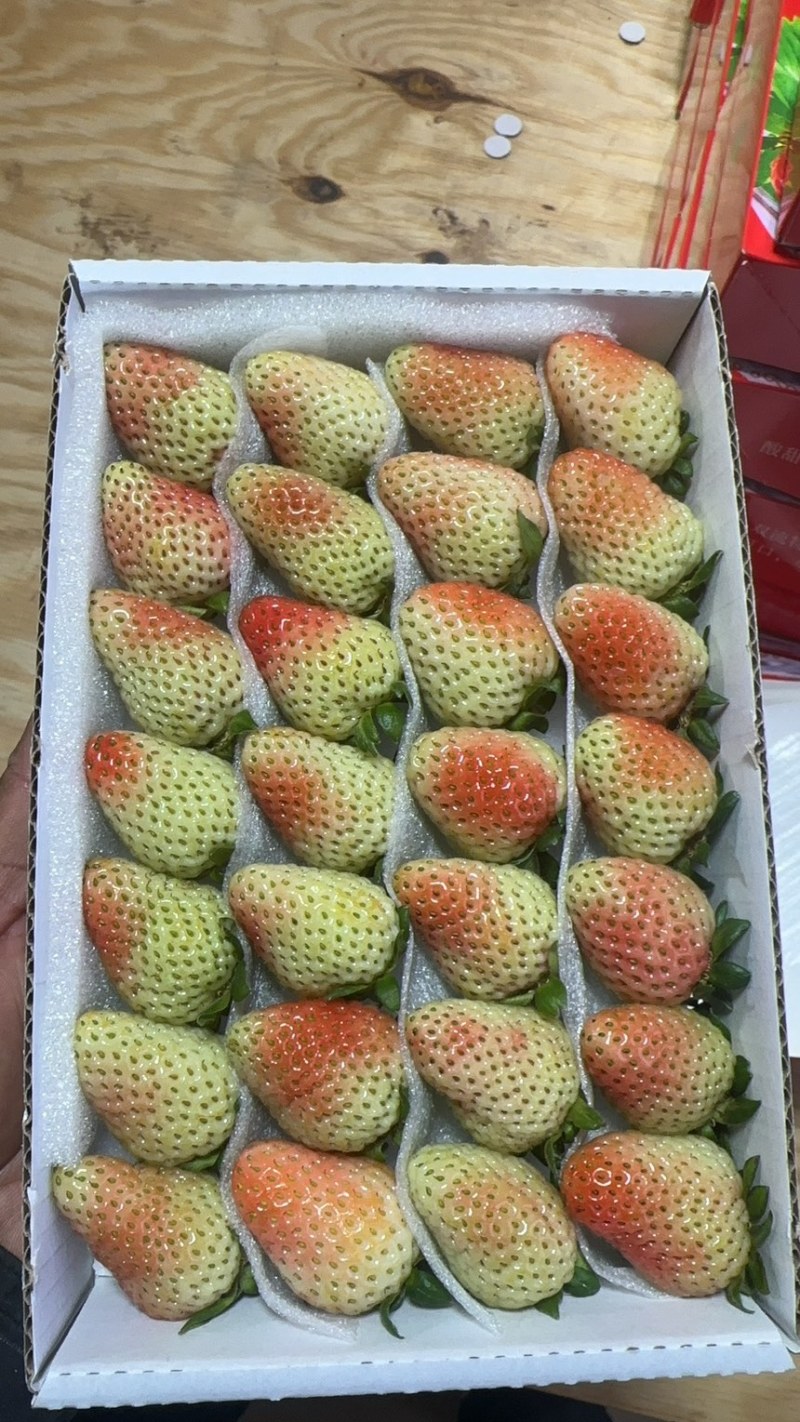 云南草莓，商用为主草莓奶茶饮料果汁果酱鲜果草莓