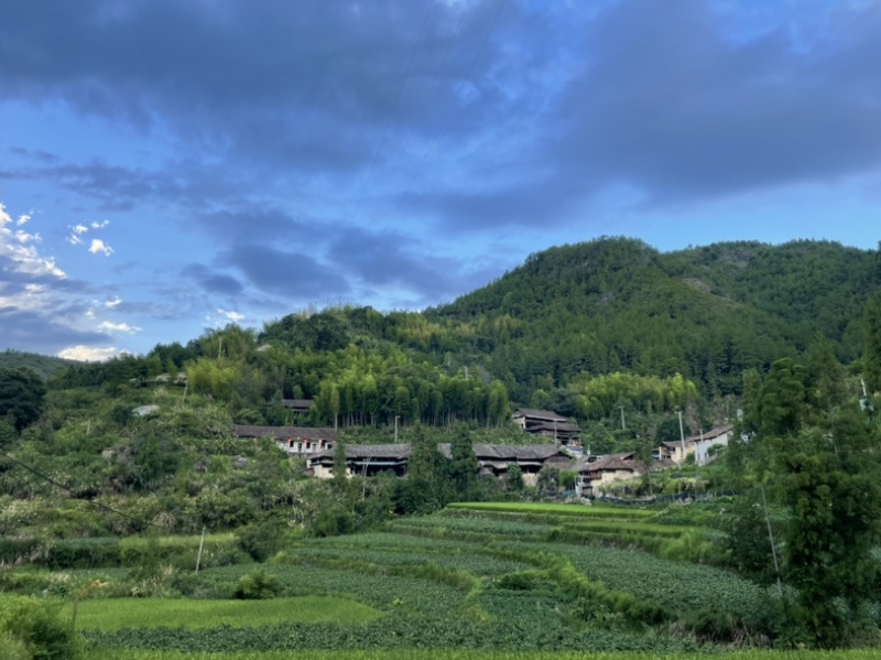 精品高山毛豆，自家种植，今年产300亩，欢迎咨询