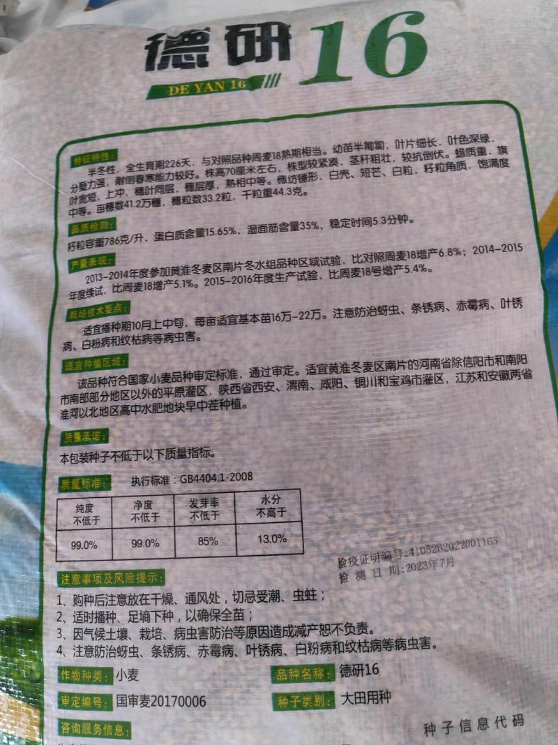 30斤【高品质】百农207小麦种子不包邮！