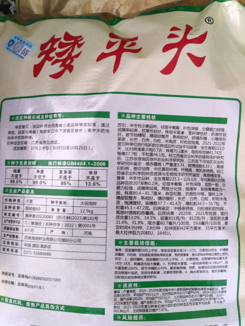 30斤【高品质】百农207小麦种子不包邮！