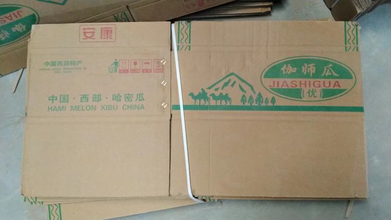 甘肃瓜州八六王哈密瓜大量现货供应，各大超市，市场，欢迎选