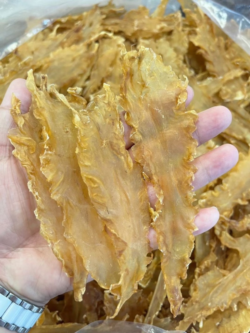 110头鳕鱼胶