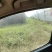 联栋大棚出租