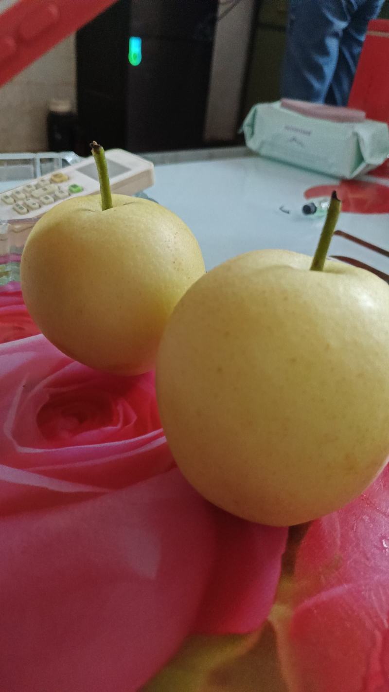 陕西产区酥梨格种规格都有。欢迎新老客，通过一亩田联系