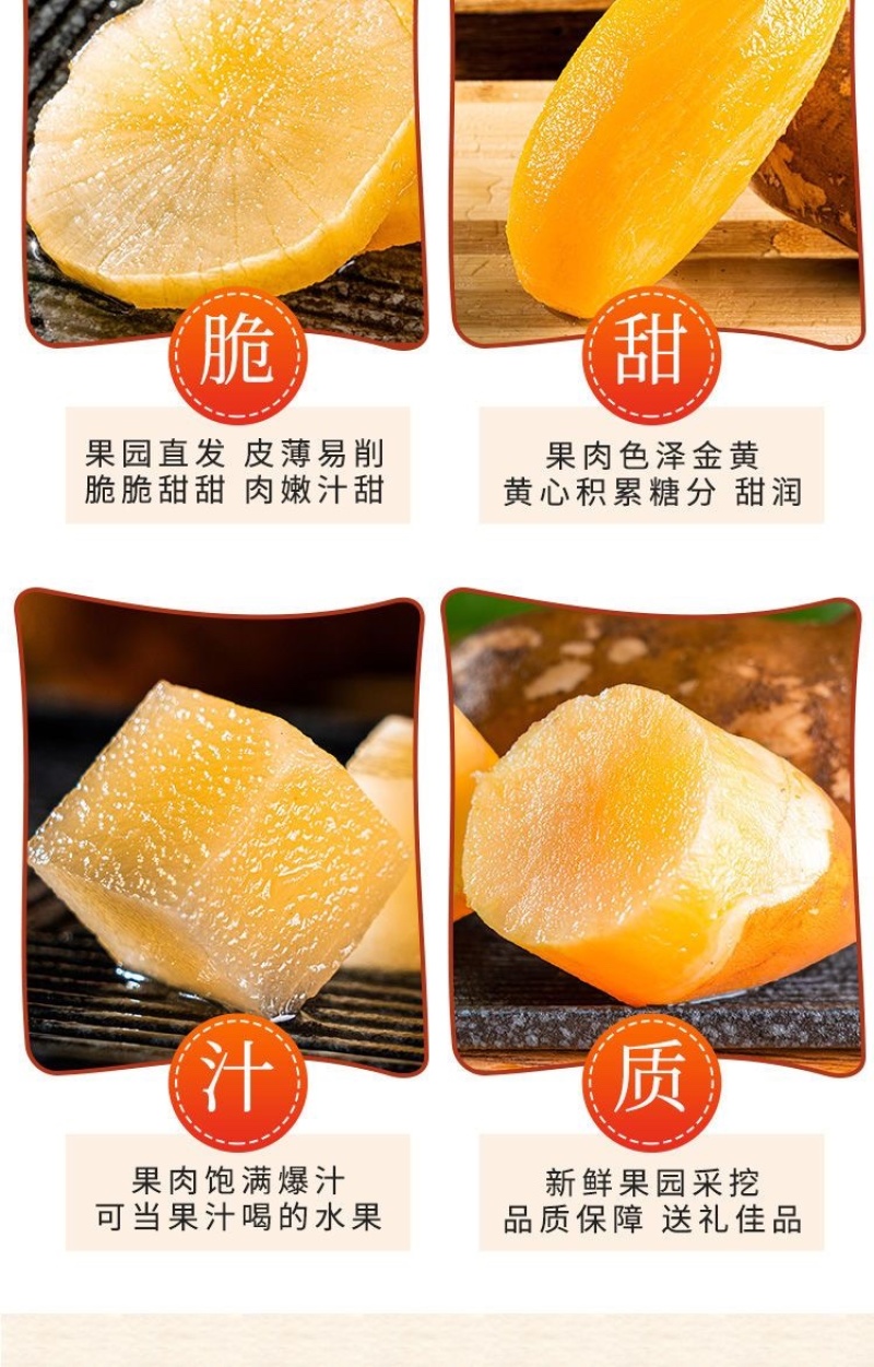 云南高山雪莲果大量供应巿场，各大电商－件代发，社区团购