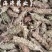 【夏枯球】产地河南实物拍摄一手货源大货供应规格齐全量大优